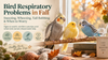Bird Respiratory Problems in Fall