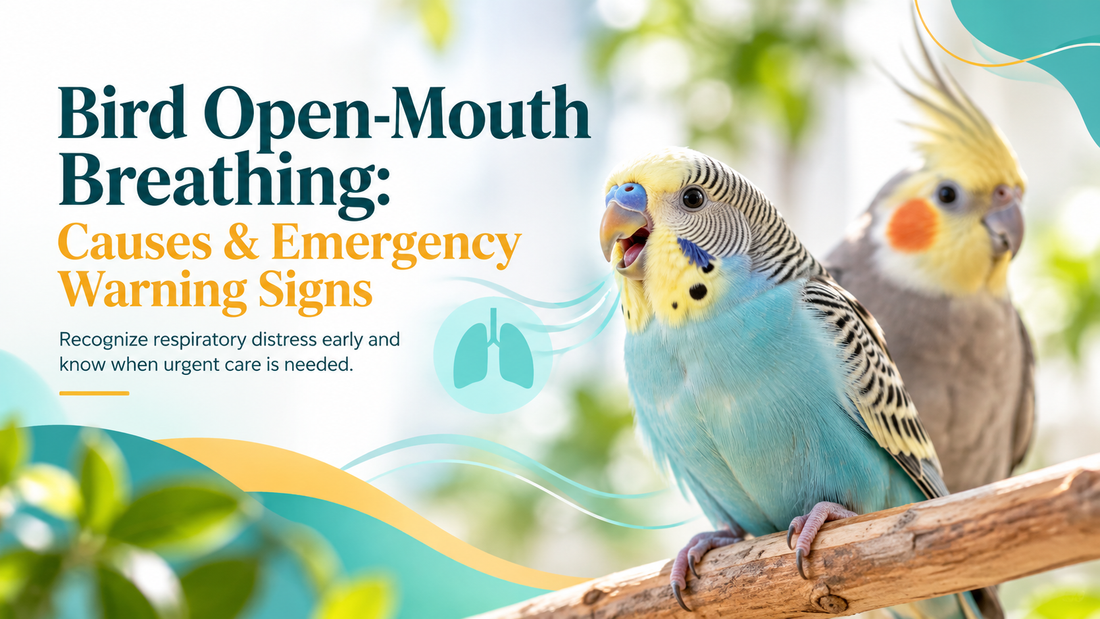 Bird Open-Mouth Breathing: Causes & Emergency Warning Signs