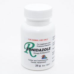 Ronidazole – Treatment for Canker, Giardia & Protozoal Infections in Birds