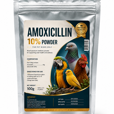 Amoxicillin 10% Powder for Pet Birds – Avian Antibiotic Powder 100g