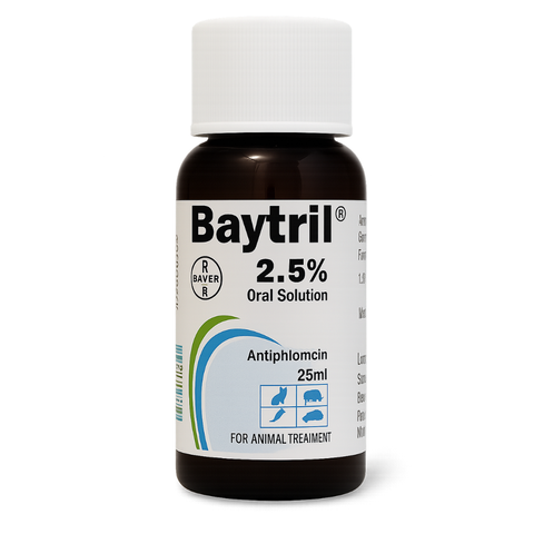 Baytril 2.5% Oral Solution – Broad-Spectrum Antibiotic for Birds, Rats & Reptiles