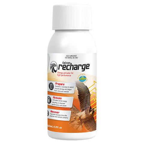 Falcon Recharge (Vetafarm) - Falcon Supplement for Optimal Muscle Recovery
