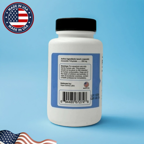 Fish Mox (Amoxicillin) 250 mg 30 Capsules Fish Antibiotics