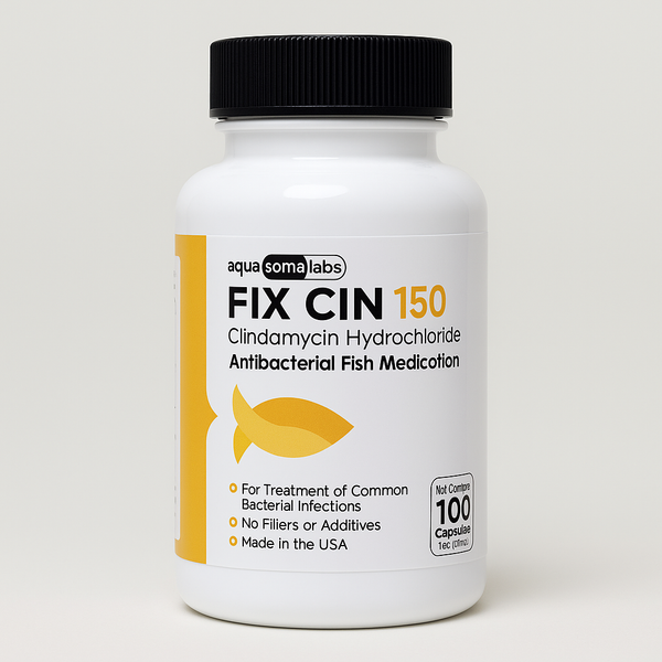 Fish Cin (Clindamycin) 150mg 100 Capsules Fish Antibiotics