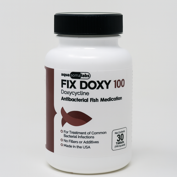 Fish Doxy Doxycycline 100mg 30 Capsules Fish Antibiotics