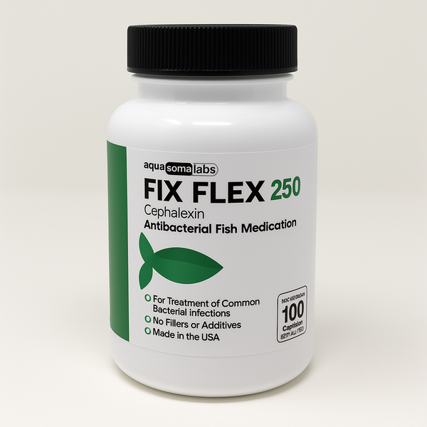 Fish Flex (Cephalexin) 250mg 100 Capsules Fish Antibiotics