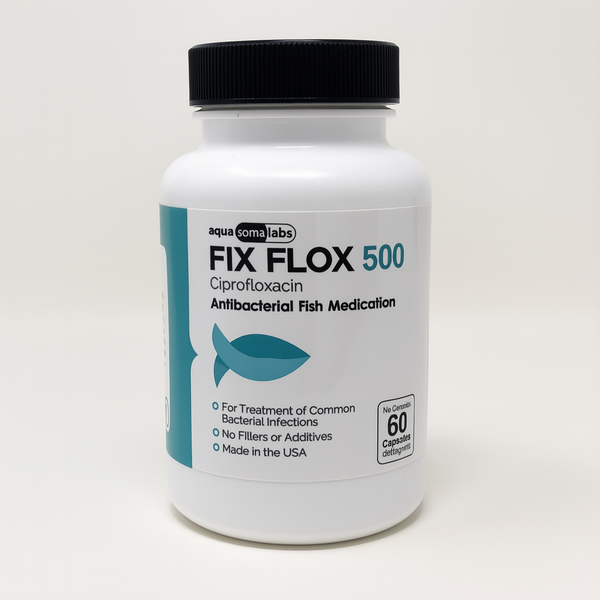 Fish Flox Ciprofloxacin 500 60 Capsules Fish Antibiotics