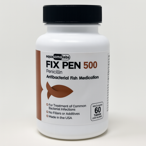 Fish Pen (Penicillin) 500mg 60 Tablets Fish Antibiotics