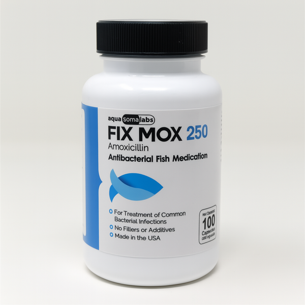 Fish Mox (Amoxicillin) 250 mg 100 Capsules Fish Antibiotics