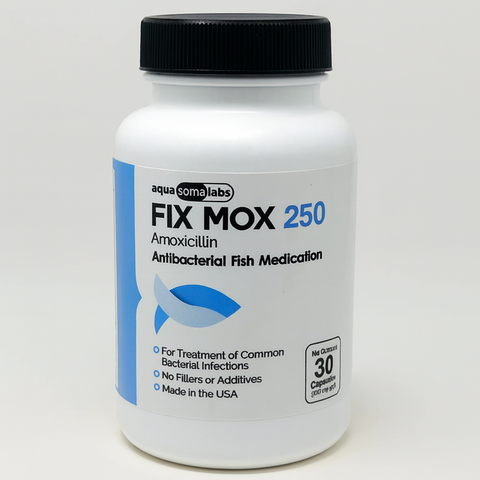 Fish Mox (Amoxicillin) 250 mg 30 Capsules Fish Antibiotics