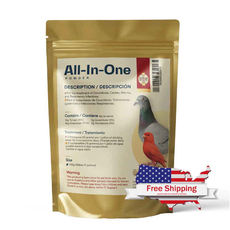 All-In-One Powder
