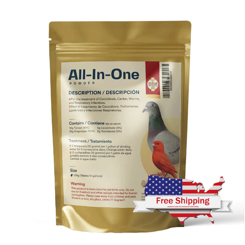 All-In-One Powder