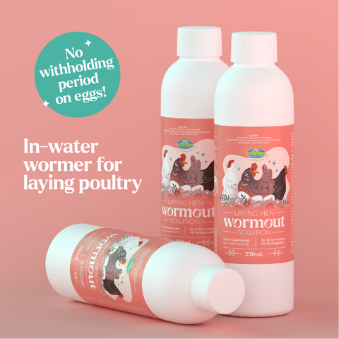 Laying Hen Wormout Solution - No Withholding Period on Eggs (Vetafarm): Treats Intestinal Worms