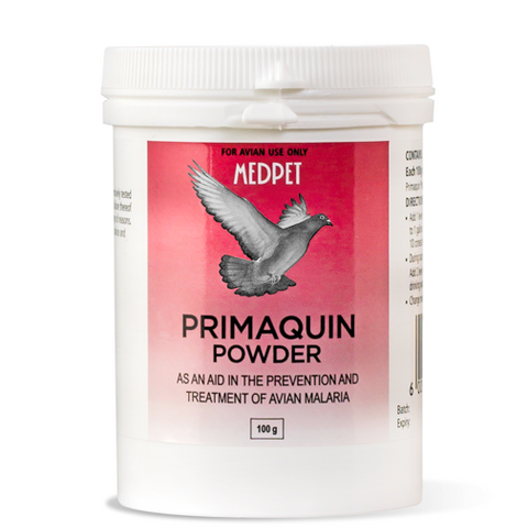 Primaquin Powder (Medpet) Effective Pigeon Malaria Treatment & Prevention