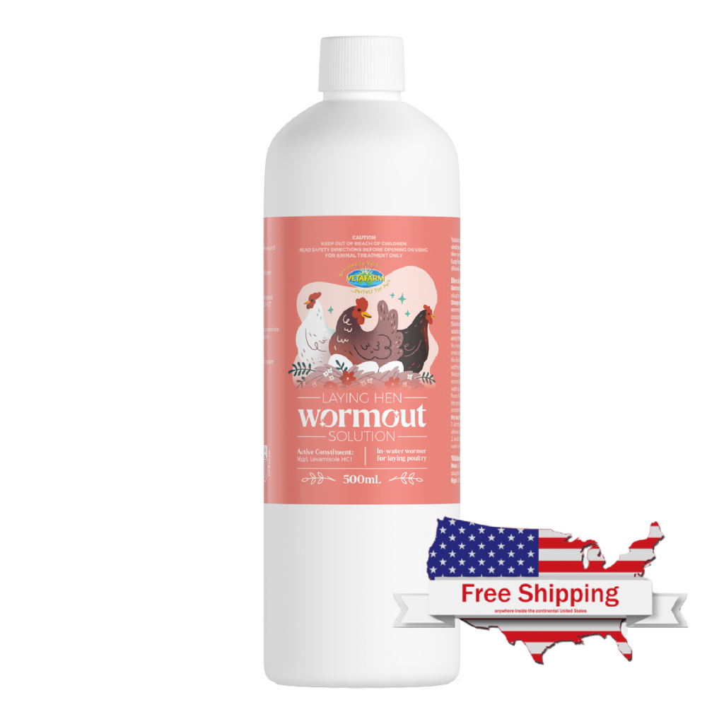 Laying Hen Wormout Solution - No Withholding Period on Eggs (Vetafarm): Treats Intestinal Worms
